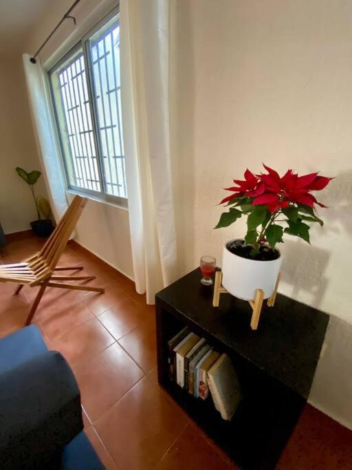 Peach35 Apartamento Centrico, 5 Min De La Playa Канкун Экстерьер фото